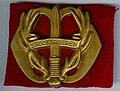 Miniatuur voor Regiment Stoottroepen Prins Bernhard