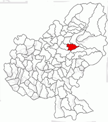 Location in Mureș County