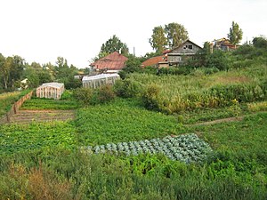 Old houses with vegetable gardens in the villa...