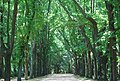 Parque de Serralves