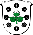 Wappen Nüsttal, Haselnuss als Hinweis auf Burg Haselstein