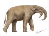 Reconstructie van Deinotherium bozasi (Deinotheriidae)