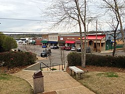 Downtown Morton, 2013