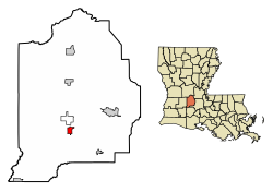 Location of Mamou in Evangeline Parish, Louisiana.