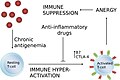 Chronic antigenemia as in HIV infection leads to immune suppression.