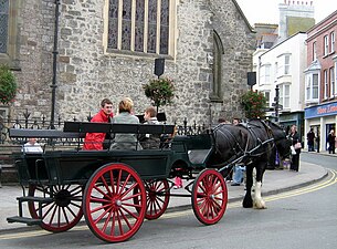 Large wagonette for tourists