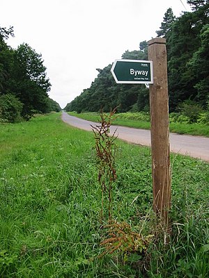 Photograph of a long trail with grass and forestry at either side; a green arrow sign with a white border is at the forefront, attached to a wooden post and pointing left, informing the reader that "Byway" is that way