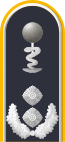 Dienstgradabzeichen auf der Schulterklappe der Jacke des Dienstanzuges für Luftwaffenuniformträger.