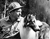 Robert Bray starred as Ranger Corey Stuart during the majority of the Forest Service years of the series from 1964-1968 Lassie with actor Robert Bray.jpg