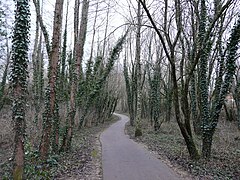 Chemin aménagé en hiver.