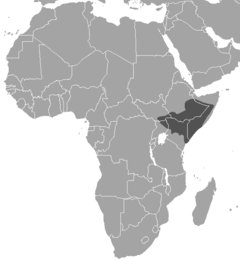 Distribuição territorial do dik-dik-de-günther