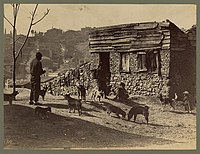 Muž, dítě a psi před budovou, pravděpodobně v Istanbulu, 1870