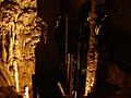 More formations in Natural Bridge Caverns, Texas.
