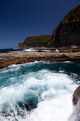 Пляж Норт-Авока, Новый Южный Уэльс, Австралия (3191042456) .jpg