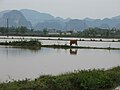 Miniatura para Ninh Binh