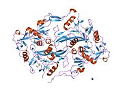 2b0u​: Struktura folistatin:aktivin kompleksa