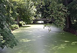 Photographie du pont et des douves.