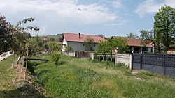 Skyline of Пештеница