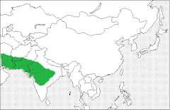 Mapa de distribuição da gazela-indiana