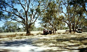 Rural Australia Abandoned habitat