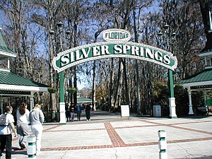 SilverSprings.JPG