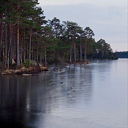 Is på Visjön 3 mars 2023.