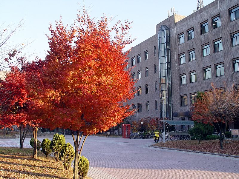 파일:Sungkyunkwan University Suwon Engineering Building 2 Trees 1.JPG