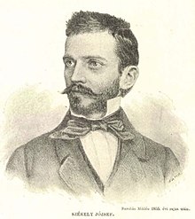 portreto pri József Székely (juristo) (1895)