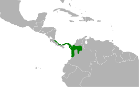 Distribución geográfica de la tangara cenicienta.