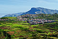 Terraced farming in Kodaikanal