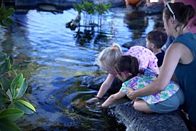 The Tide Pool is popular at the Maui Ocean Center.