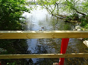 Vårbybäckens sista rest i Vårby herrgårdspark.