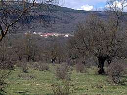 Villar del Ala – Veduta