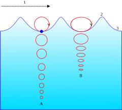 Motion of a particle in an ocean wave. A = At deep water. The orbital motion of fluid particles decreases rapidly with increasing depth below the surface. B = At shallow water (ocean floor is now at B).  The elliptical movement of a fluid particle flattens with decreasing depth. 1 = Propagation direction.  2 = Wave crest. 3 = Wave trough.