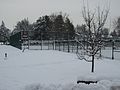 Reed College Tennis Courts