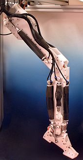 A robotic leg powered by air muscles 2005-11-14 ShadowLeg Finished medium.jpg