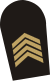 8 - Primeiro-sargento (Маринья) .svg