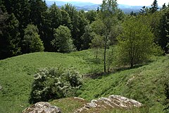 Bild 8: Die östliche Unterburg von der Stelle der Oberburg aus
