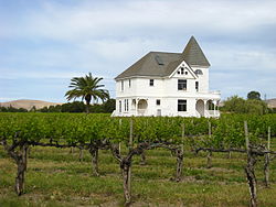 Concannon Vineyard.jpg