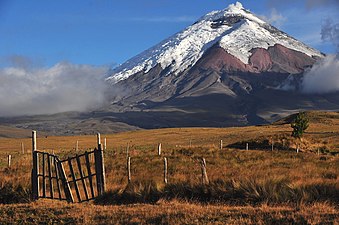 Clima de estepa BSk en las regiones montanas en Cotopaxi.