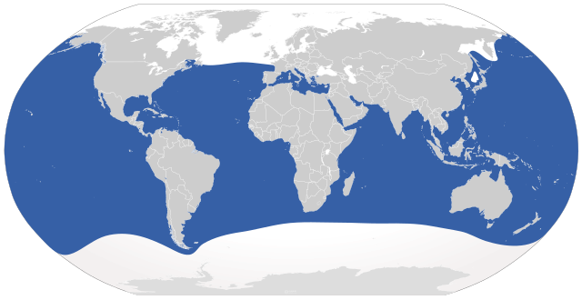 Distribuição natural do tubarão-branco (em azul).