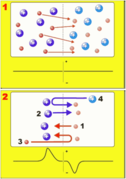 Double layer formation