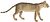 Felis chaus - 1700-1880 - Печать - Iconographia Zoologica - Амстердамский университет специальных коллекций - (белый фон) .jpg