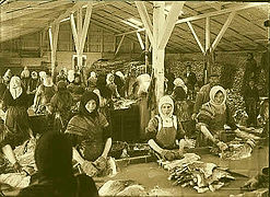 Women working with stock fish in a fish factory in Kirkjusandur, Reykjavík, Iceland, around 1910–1920