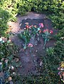 Losa (tumba) di Rosa Luxemburg cun fiori