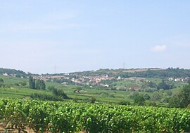 A general view of Montagny-lès-Buxy