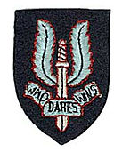 Insigne de béret des SAS