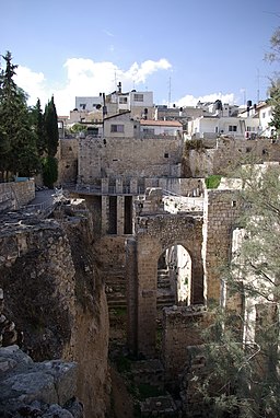 Jerusalem Bethesda BW 1