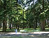 John Luby Park benches - Portland, Oregon.JPG