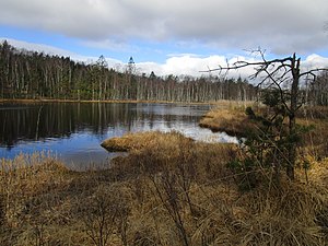 Knipeflågs tjärns norra ände 31 mars 2020.